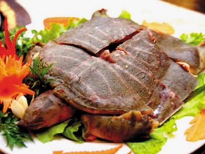 7 Địa chỉ bán baba tươi sống, chất lượng tại Hà Nội