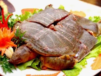 bảng báo giá baba thịt giá rẻ nhất hiện nay