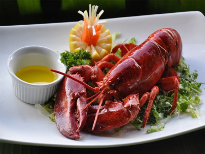 Địa chỉ mua Tôm hùm alaska tươi sống chất lượng giá rẻ